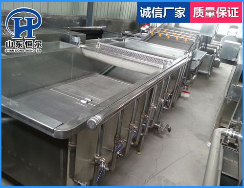 山東恒爾 多圖 苦瓜蔬菜清洗機(jī)茼蒿蔬菜清洗機(jī)